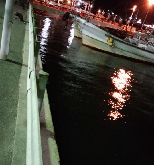 20171007姪浜漁港渡船場常夜灯付近キワ